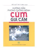 Hướng dẫn phòng chống bệnh cúm gia cầm docx