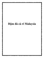 Đậm đà cà ri Malaysia doc