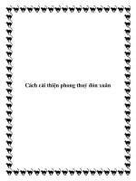 Cách cải thiện phong thuỷ đón xuân pdf