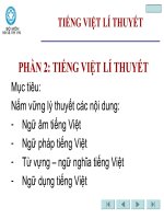 Tiếng việt lý thuyết pot