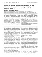 Báo cáo khoa học: Isolation and enzymatic characterization of lamjapin, the ﬁrst ribosome-inactivating protein from cryptogamic algal plant (Laminaria japonica A) ppt