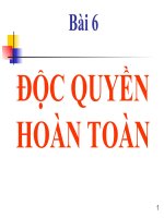 Độc quyền hoàn toàn docx