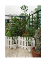 Xây nhà trên diện tích 6m x 17m hướng Tây ppt