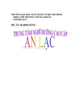 Tiểu luận:Đề án trung tâm nghỉ dưỡng cao cấp An Lạc pdf