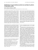 Báo cáo Y học: Identiﬁcation of novel membrane proteins by searching for patterns in hydropathy proﬁles potx