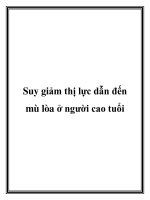 Suy giảm thị lực dẫn đến mù lòa ở người cao tuổi potx