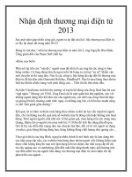 Nhận định thương mại điện tử 2013 docx