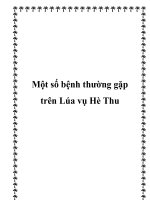 Một số bệnh thường gặp trên Lúa vụ Hè Thu ppt