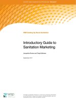 WSP Scaling Up Rural Sanitation Introductory Guide to Sanitation Marketing ppt