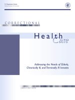 Addressing the Needs of Elderly, Chronically Ill, and Terminally Ill Inmates pot