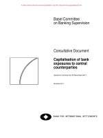 Consultative Document Capitalisation of bank exposures to central counterparties pptx