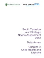South Tyneside Joint Strategic Needs Assessment 2012 Data Annex pot