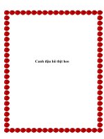 Canh đậu hũ thịt heo pdf