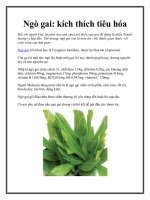 Ngò gai: kích thích tiêu hóa ppt