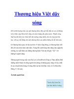 Thương hiệu Việt dậy sóng doc