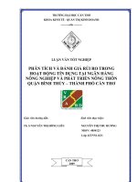 LUẬN VĂN TỐT NGHIỆP PHÂN TÍCH VÀ ĐÁNH GIÁ RỦI RO TRONG HOẠT ĐỘNG TÍN DỤNG TẠI NGÂN HÀNG NÔNG NGHIỆP VÀ PHÁT TRIỂN NÔNG THÔN QUẬN BÌNH THỦY – THÀNH PHỐ CẦN THƠ pdf