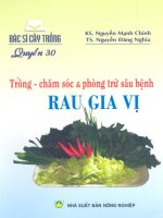 trồng chăm sóc và phòng trừ sâu bệnh rau gia vị