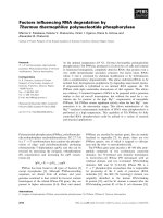Báo cáo khoa học: Factors inﬂuencing RNA degradation by Thermus thermophilus polynucleotide phosphorylase ppt
