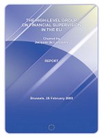 THE HIGH-LEVEL GROUP ON FINANCIAL SUPERVISION IN THE EU pot