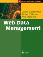 Web Data Management pdf