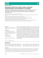 Báo cáo khoa học: Enzymatic toxins from snake venom: structural characterization and mechanism of catalysis ppt