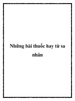 Những bài thuốc hay từ sa nhân pptx