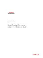 Cross-Channel Commerce: A Consumer Research Study pot