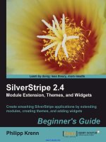 SilverStripe 2.4 Module Extension, Themes, and Widgets Beginner''''s Guide potx