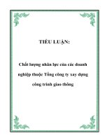 TIỂU LUẬN: Chất lượng nhân lực của các doanh nghiệp thuộc Tổng công ty xay dựng công trình giao thông pot