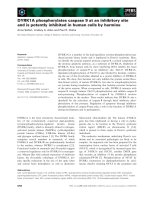 Báo cáo khoa học: DYRK1A phosphorylates caspase 9 at an inhibitory site and is potently inhibited in human cells by harmine pptx