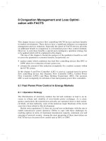 flexible ac transmission systems ( (8)