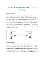 Tìm hiểu về Virtual Private Network - VPN và Tunneling docx