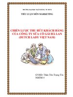 Tiểu luận: CHIẾN LƯỢC THU HÚT KHÁCH HÀNG CỦA CÔNG TY SỮA CÔ GÁI HÀ LAN (DUTCH LADY VIỆT NAM) ppt
