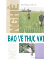 Nghề bảo vệ thực vật ppt