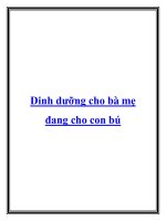 Dinh dưỡng cho bà mẹ đang cho con bú pot