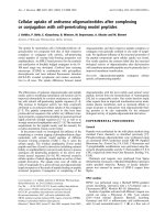 Báo cáo khoa học: Cellular uptake of antisense oligonucleotides after complexing or conjugation with cell-penetrating model peptides pdf