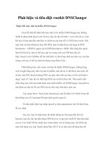 Phát hiện và tiêu diệt rootkit DNSChanger potx