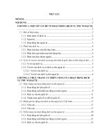 Các hoạt động dịch vụ thu ngoại tệ ở Việt Nam – Thực trạng và triển vọng