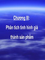Chương III: Phân tích tình hình giá thành sản phẩm pdf