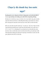 Chọn ly đá chanh hay lon nước ngọt? potx