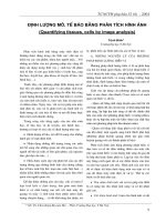 Định lượng mô, tế bào bằng phân tích hình ảnh (Quantifying tissues, cells by image anaslysis) potx