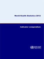 World Health Statistics 2012 Indicator compendium ppt