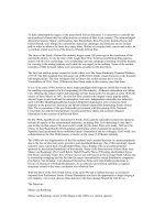 south african directors