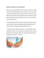 Móng cần sự chăm sóc sau khi làm nail ppt