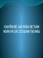 CHUYÊN ĐỀ: GiẢI PHẪU HỆ TUẦN HOÀN VÀ CÁC CƠ QUAN TẠO MÁU pdf