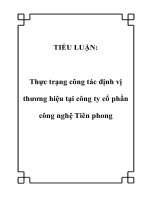 TIỂU LUẬN: Thực trạng công tác định vị thương hiệu tại công ty cổ phần công nghệ Tiên phong docx