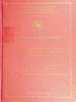 Xây dựng chiến lược phát triển xuất khẩu gốm mỹ nghệ Việt nam sang thị trường Mỹ giai đoạn 2010-2015