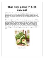 Thảo dược phòng trị bệnh gan, mật potx