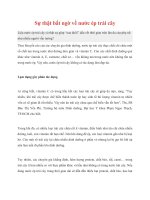 Sự thật bất ngờ về nước ép trái cây potx