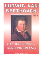 Các bản Sonata dành cho piano pptx